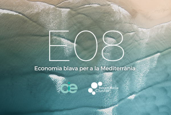 Iniciativa innovación y sostenibilidad: